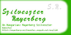 szilveszter mayerberg business card